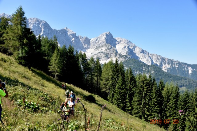 Goli vrh 20.7.2019 - foto