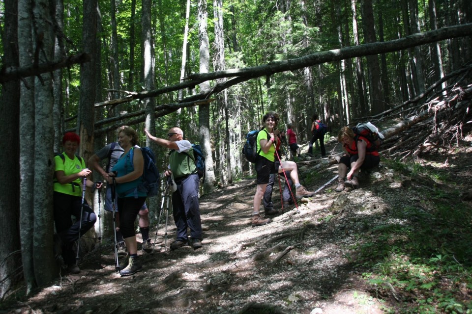 Goli vrh 20.7.2019 - foto povečava