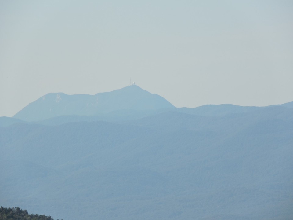 Volovja reber 14.9.2019 - foto povečava