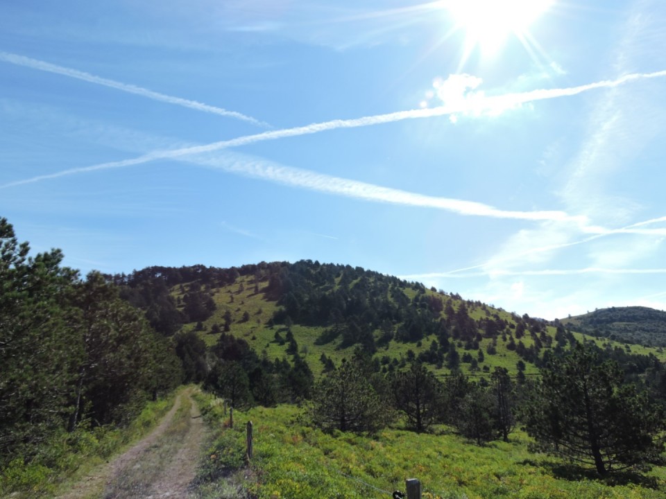 Volovja reber 14.9.2019 - foto povečava