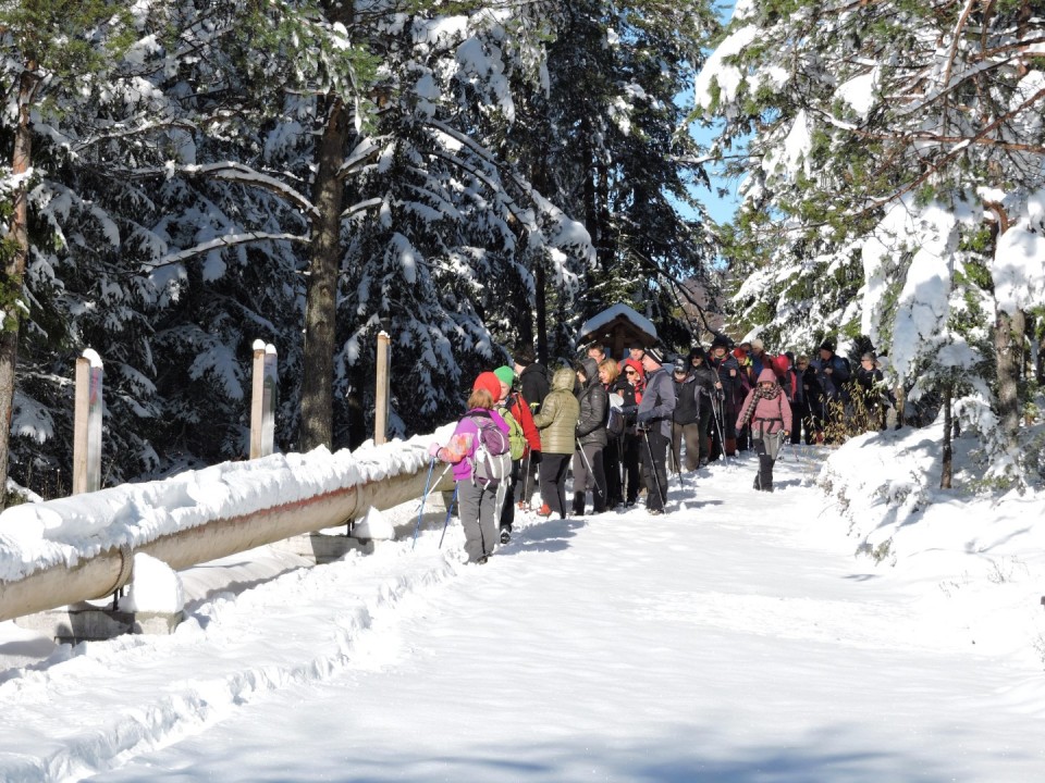 Rakitna 14.12.2019 - foto povečava