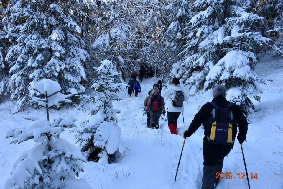 Rakitna 14.12.2019 - foto povečava