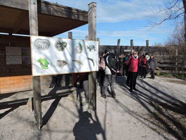 Beblerjeva pot 19.1.2020 - foto
