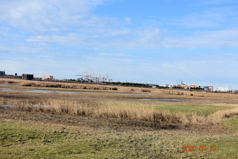 Beblerjeva pot 19.1.2020 - foto povečava