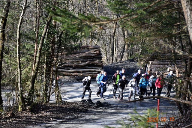 Cicelj - Sv. Miklavž 15.2.2020 - foto