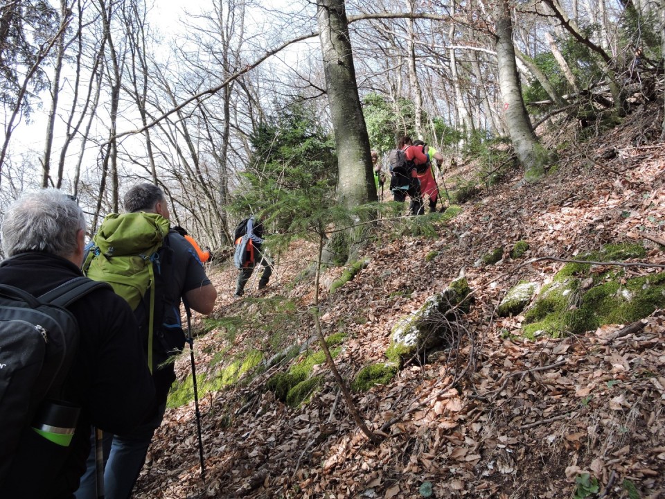 Cicelj - Sv. Miklavž 15.2.2020 - foto povečava