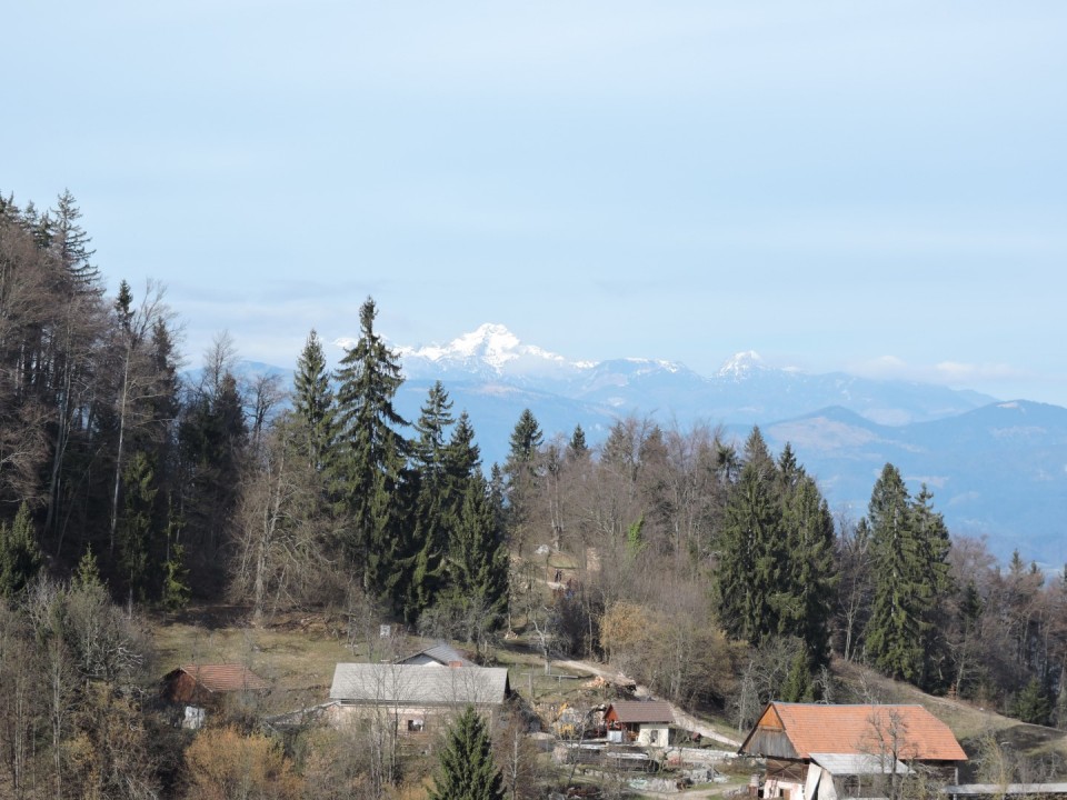 Cicelj - Sv. Miklavž 15.2.2020 - foto povečava