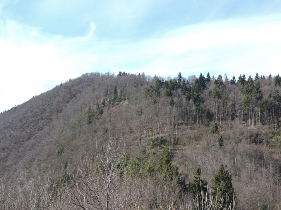 Cicelj - Sv. Miklavž 15.2.2020 - foto povečava