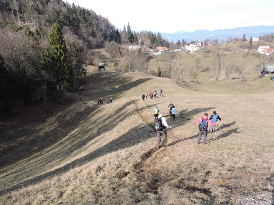 Cicelj - Sv. Miklavž 15.2.2020 - foto povečava