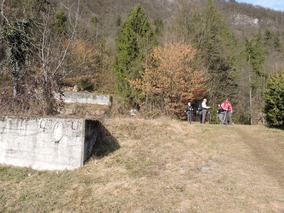 Cicelj - Sv. Miklavž 15.2.2020 - foto povečava