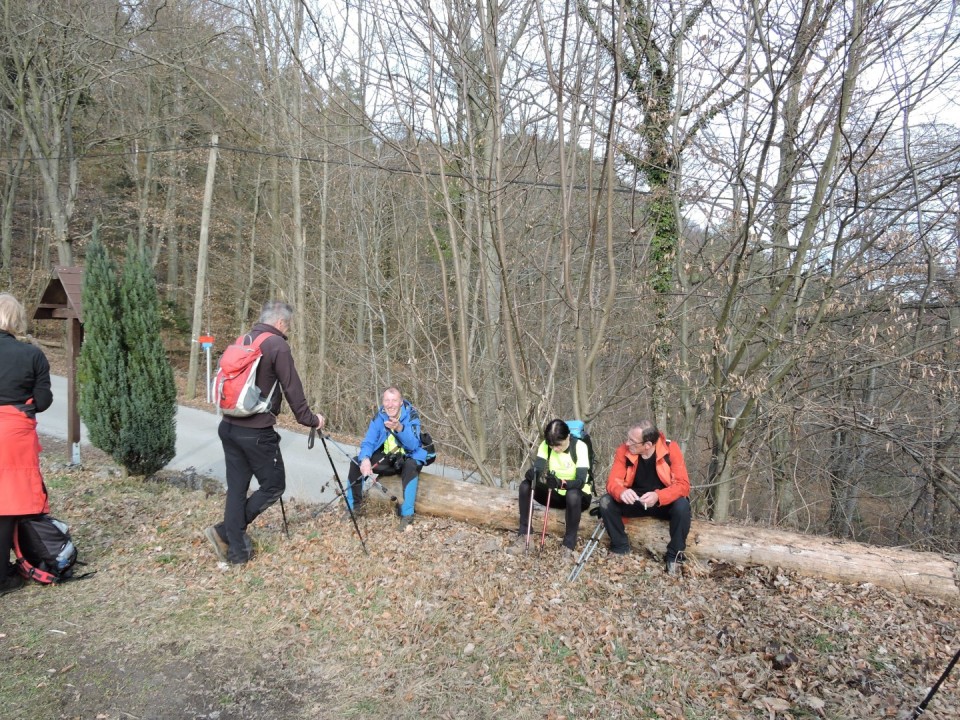 Cicelj - Sv. Miklavž 15.2.2020 - foto povečava