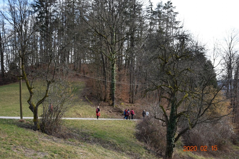 Cicelj - Sv. Miklavž 15.2.2020 - foto povečava