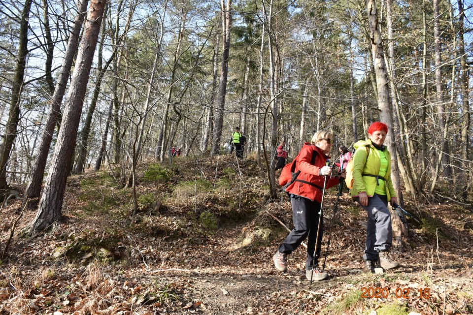 Cicelj - Sv. Miklavž 15.2.2020 - foto povečava