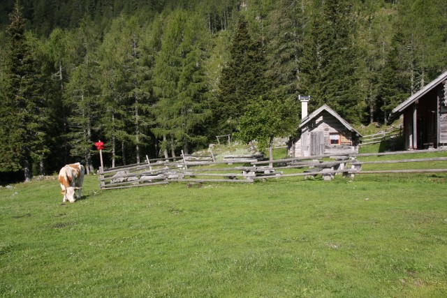 Veliki vrh - Veža 18.7.2020 - foto