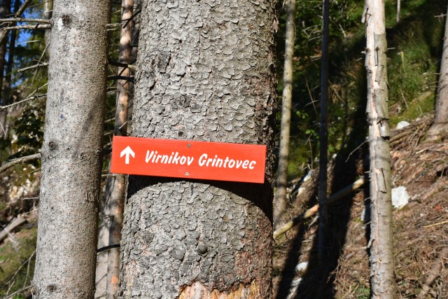 Virnikov Grintovec 22.8.2020 - foto