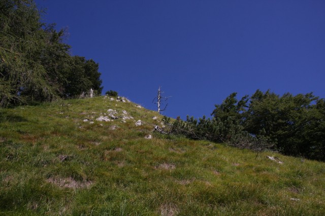Virnikov Grintovec 22.8.2020 - foto