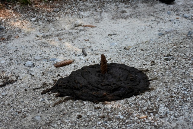 Dovška Baba 21.8.2021 - foto
