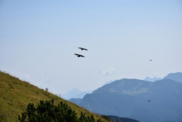 Dovška Baba 21.8.2021 - foto
