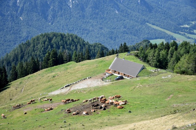Dovška Baba 21.8.2021 - foto