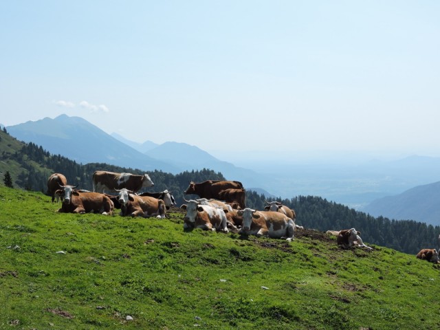 Dovška Baba 21.8.2021 - foto