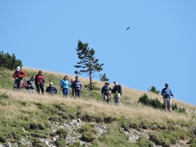 Dovška Baba 21.8.2021 - foto