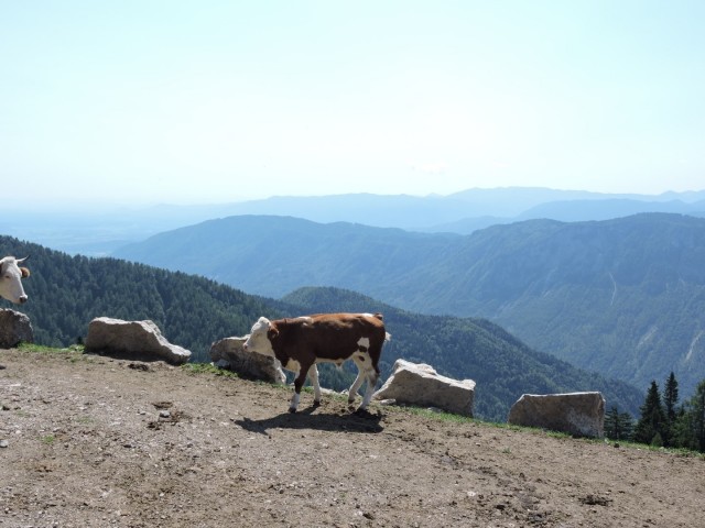 Dovška Baba 21.8.2021 - foto