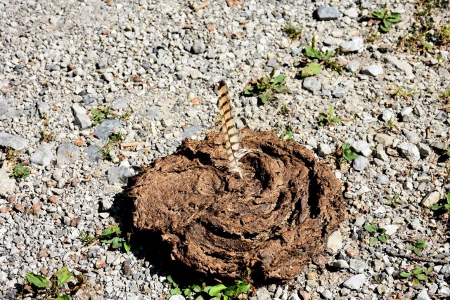 Dovška Baba 21.8.2021 - foto