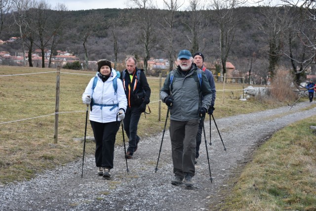 Kokoš 20.2.2022 - foto