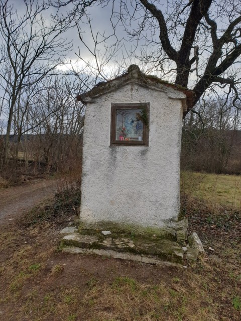 Kokoš 20.2.2022 - foto