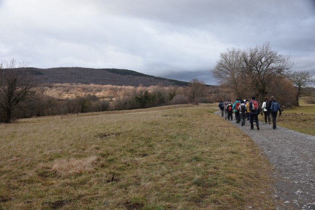 Kokoš 20.2.2022 - foto