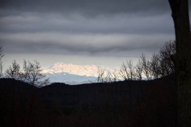 Kokoš 20.2.2022 - foto