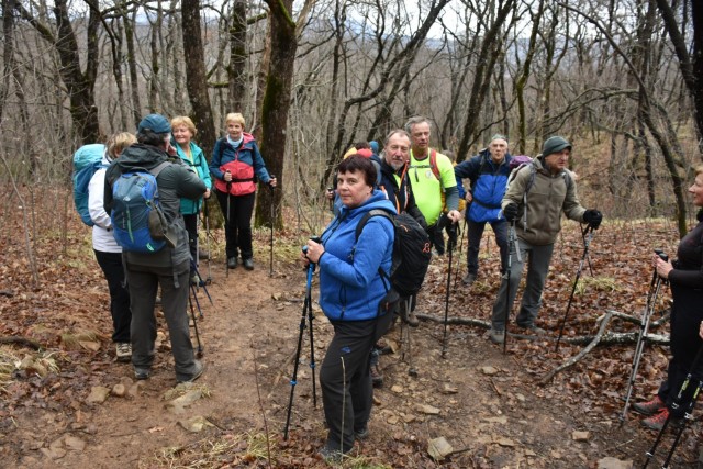 Kokoš 20.2.2022 - foto