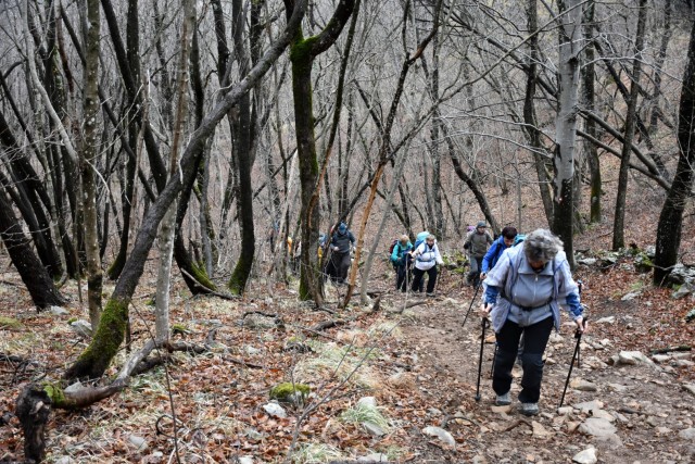 Kokoš 20.2.2022 - foto