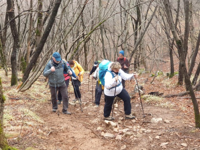 Kokoš 20.2.2022 - foto