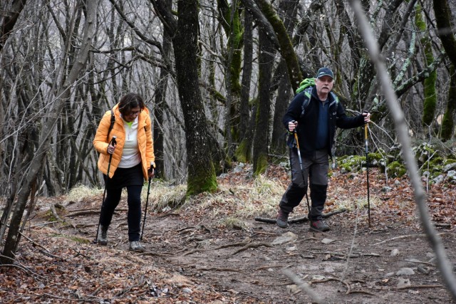 Kokoš 20.2.2022 - foto