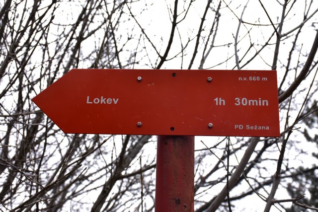 Kokoš 20.2.2022 - foto