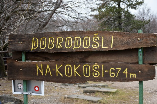 Kokoš 20.2.2022 - foto