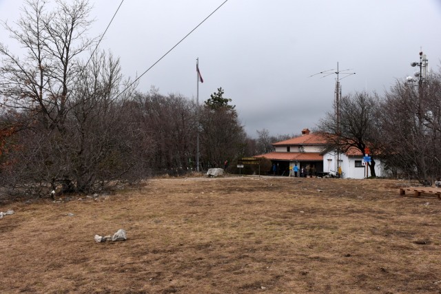 Kokoš 20.2.2022 - foto