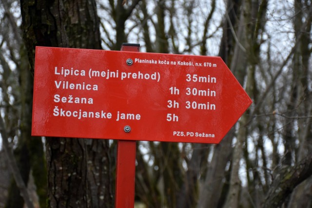 Kokoš 20.2.2022 - foto