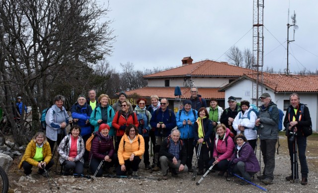 Kokoš 20.2.2022 - foto