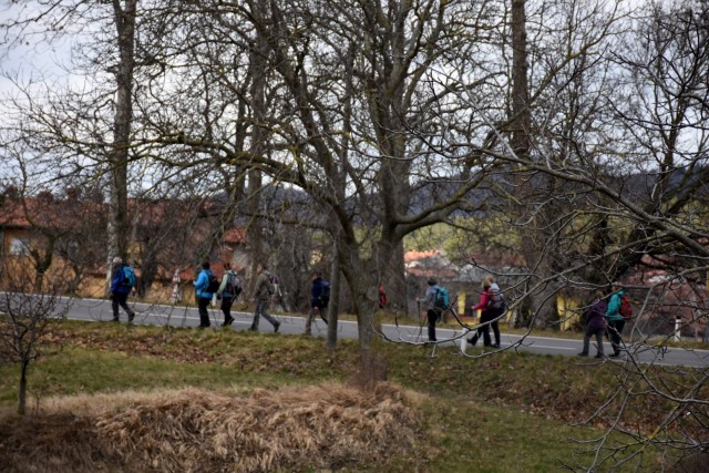 Kokoš 20.2.2022 - foto