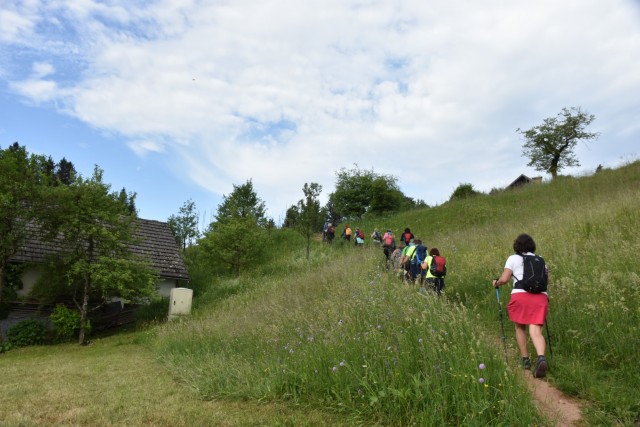 Crngrob-Križna gora 21.5.2022 - foto