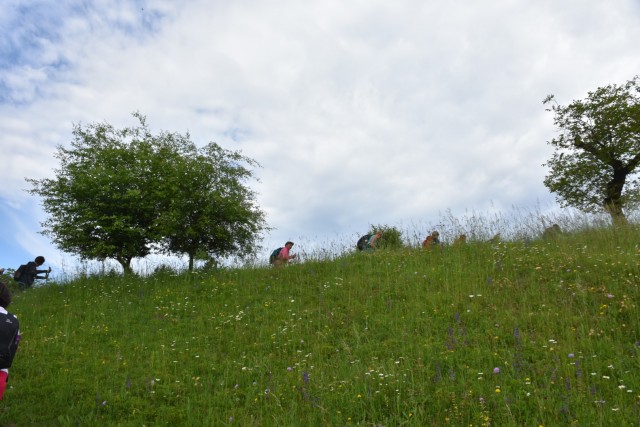 Crngrob-Križna gora 21.5.2022 - foto