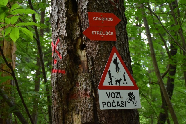 Crngrob-Križna gora 21.5.2022 - foto