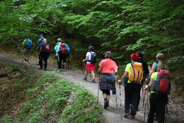 Crngrob-Križna gora 21.5.2022 - foto