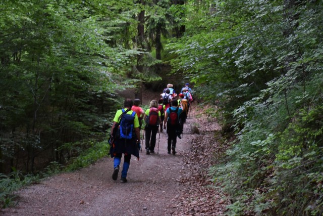 Crngrob-Križna gora 21.5.2022 - foto