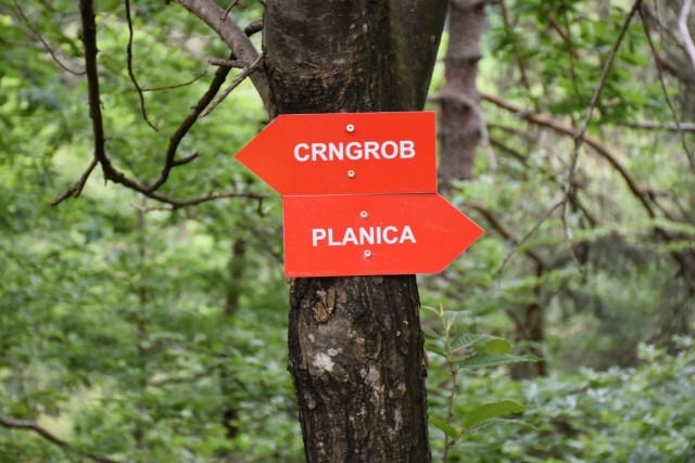 Crngrob-Križna gora 21.5.2022 - foto