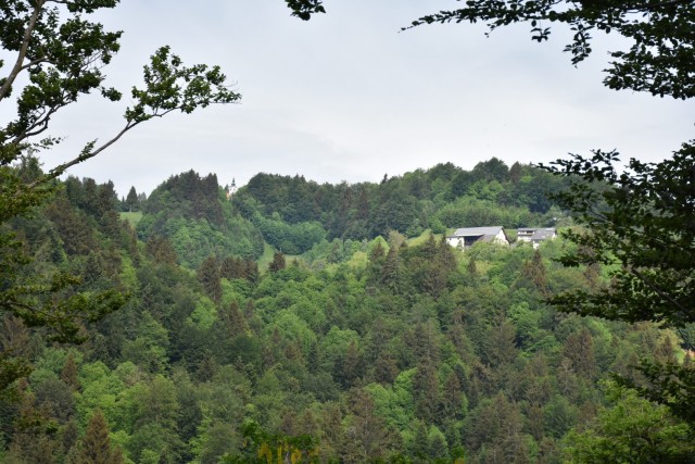 Crngrob-Križna gora 21.5.2022 - foto
