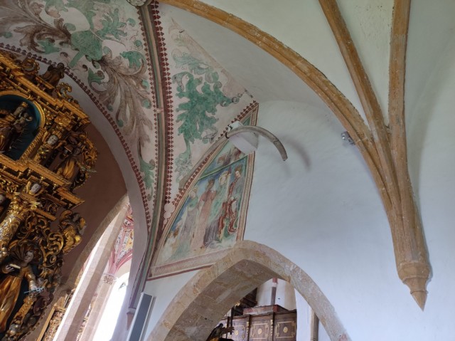Crngrob-Križna gora 21.5.2022 - foto
