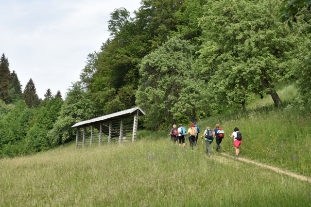 Crngrob-Križna gora 21.5.2022 - foto